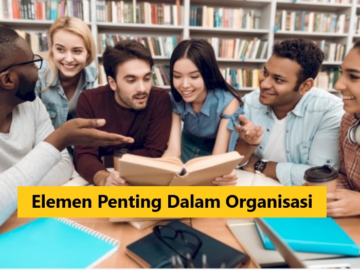 Elemen Penting Dalam Organisasi