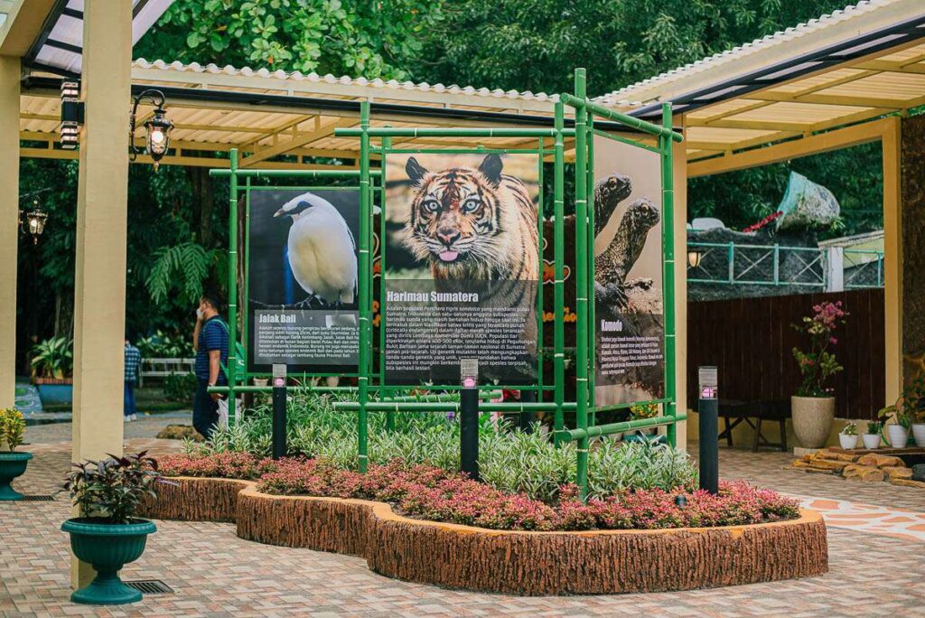 Wisata Edukasi Alam: Menyelami Flora, Fauna, dan Aktivitas Seru untuk Semua Usia